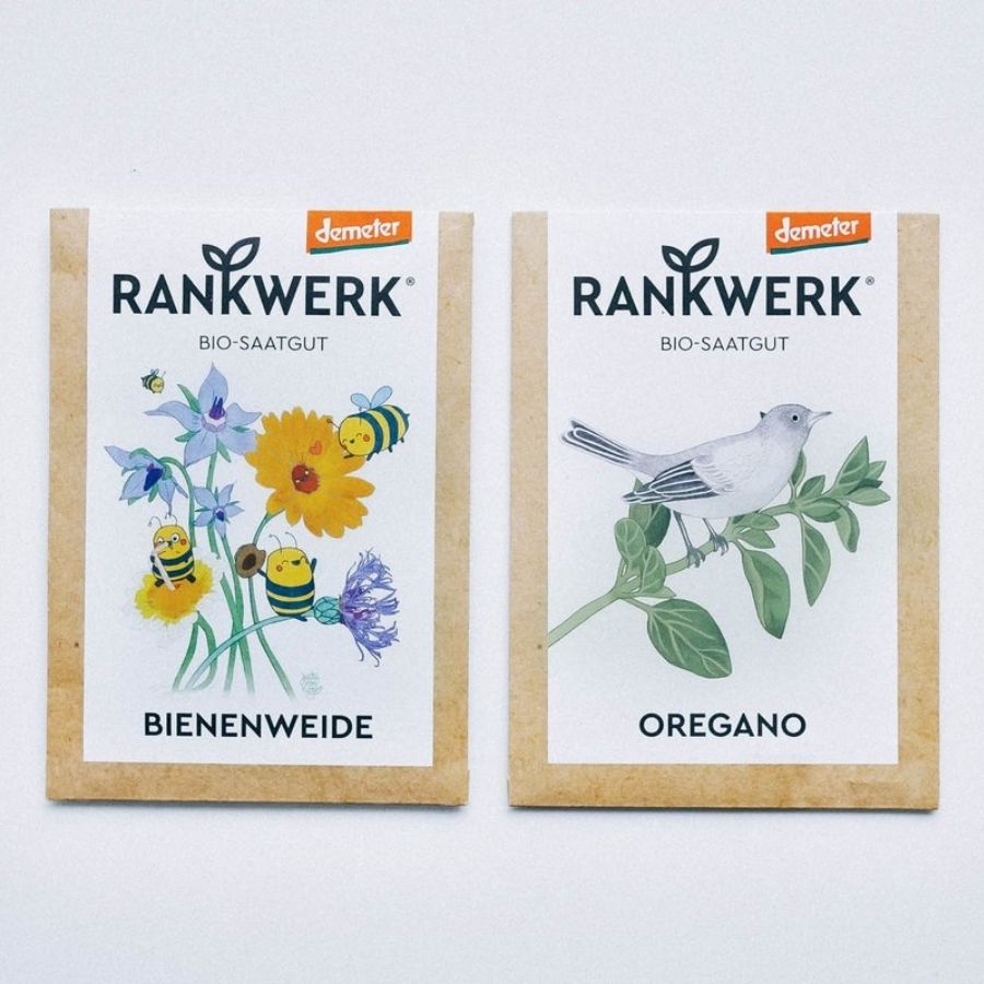 Saatgut Box Bienenbuffet Bienenweide Oregano