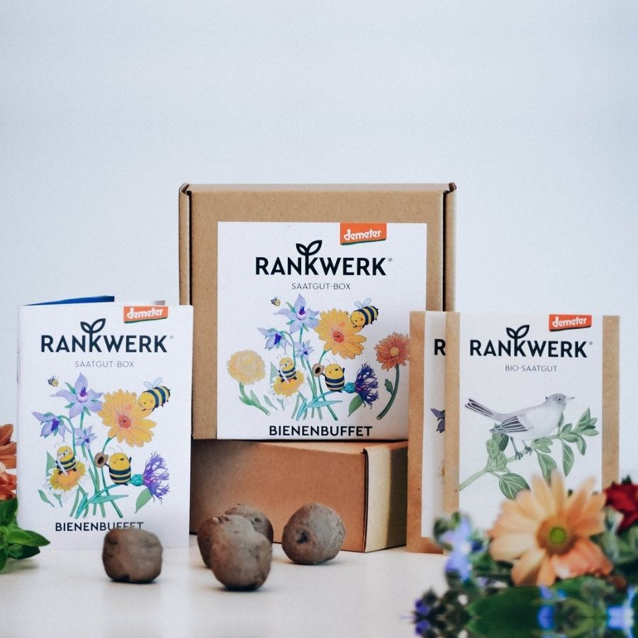 saatgut geschenk Saatgut Box Bienenbuffet von Rankwerk