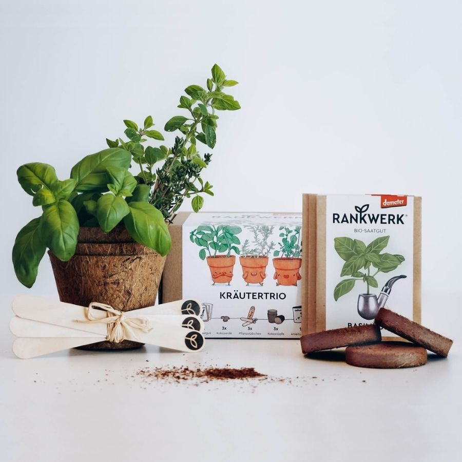 Saatgut Box Kräutertrio