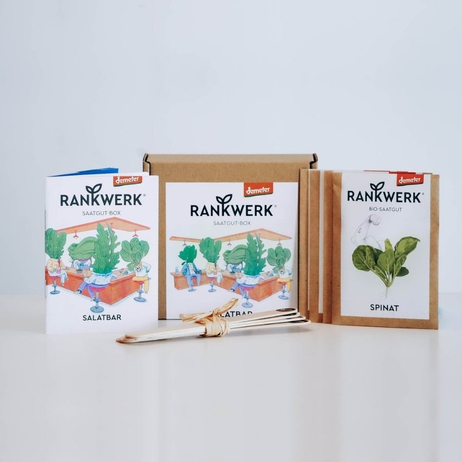 Saatgut Box Salatbar Inhalt