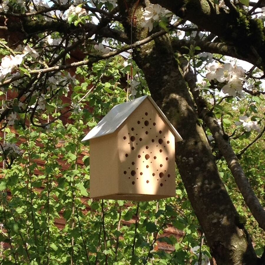 Bee´s Inn im Baum hängend