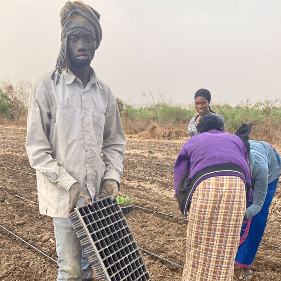 Farmer im Senegal