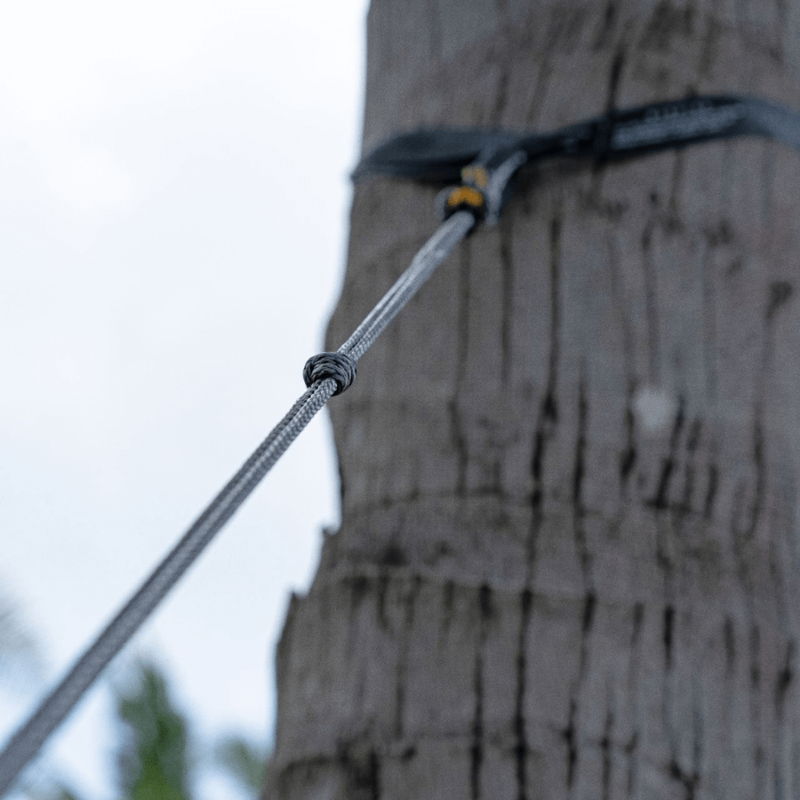 Befestigung der Lightes Straps an einem Baum