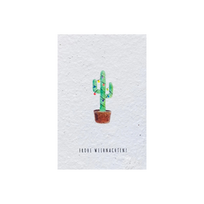 Einpflanzbare Postkarte – Weihnachten  von BlühWerk Papeterie – Kaktus vor weißem Hintergrund