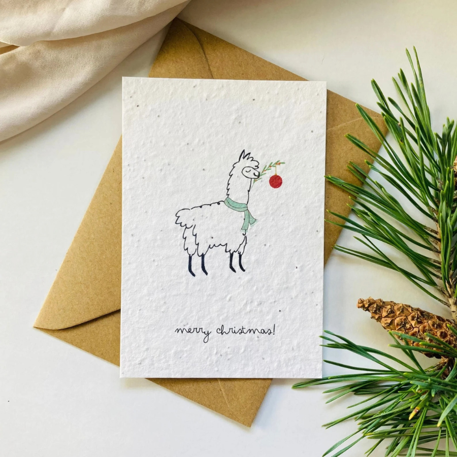 Einpflanzbare Postkarte – Weihnachten  von BlühWerk Papeterie – Lama