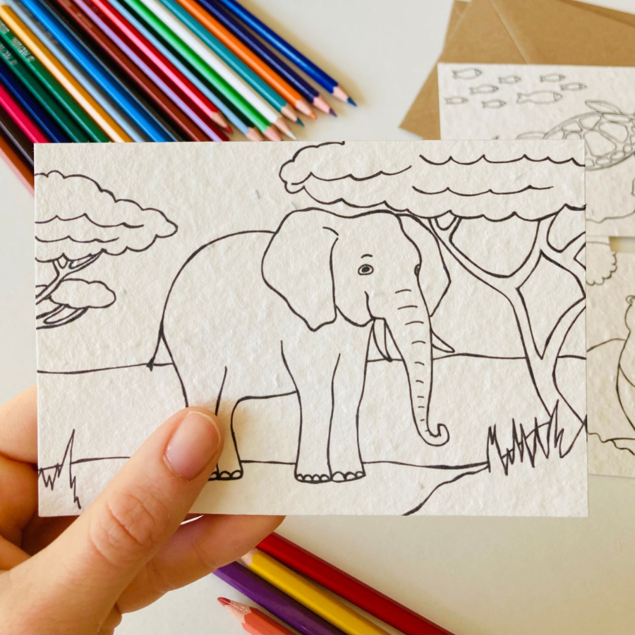 Einpflanzbarer Ausmalkarten von BlühWerk Papeterie – Motiv Elefant