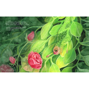 Klaus und die schönste Blume der Welt vom Buchfink Verlag – Blick ins Buch