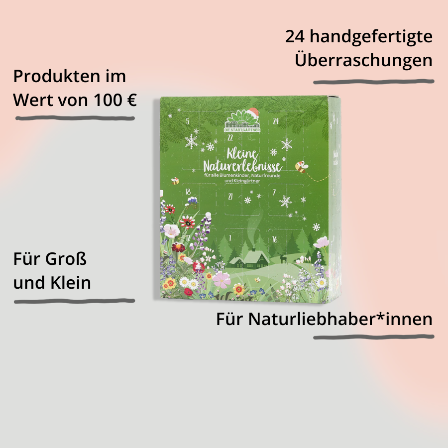 Adventskalender 2025 von Die Stadtgärtner mit Impact
