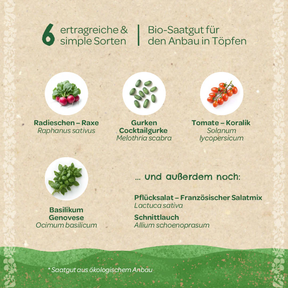 Saatgut-Set Balkongemüse von Die Stadtgärtner – Verpackung von hinten mit Inhalt