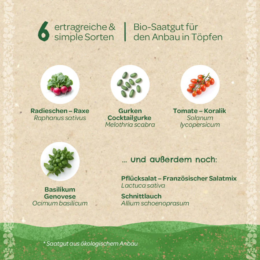 Saatgut-Set Balkongemüse von Die Stadtgärtner