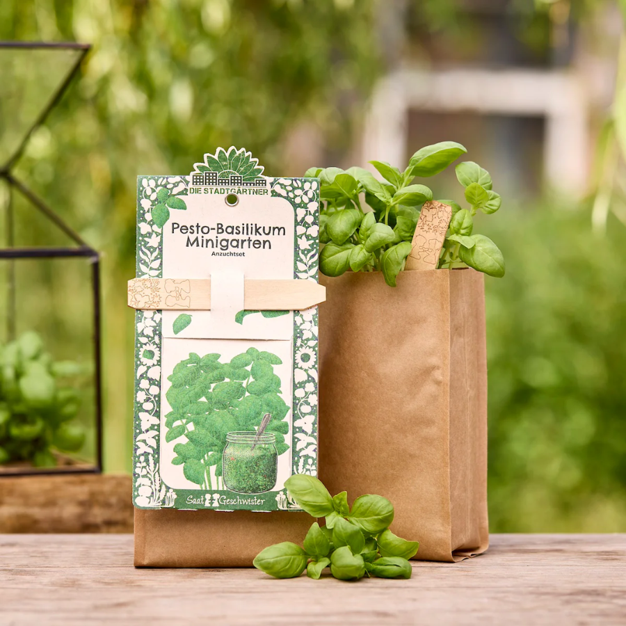 Minigarten – Pesto Basilikum von Die Stadtgärtner – Verpackung mit Basilikum