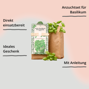 Minigarten – Pesto Basilikum von Die Stadtgärtner – Verpackung von vorne mit Impact