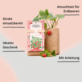 Minigarten – Erdbeere von Die Stadtgärtner – Verpackung von vorne mit Impact