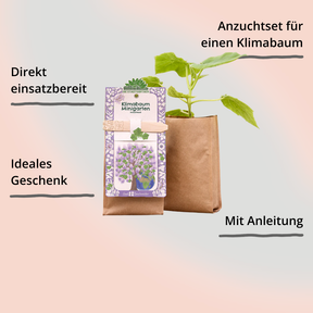 Minigarten – Klimabaum von Die Stadtgärtner – Verpackung von vorne mit Impact
