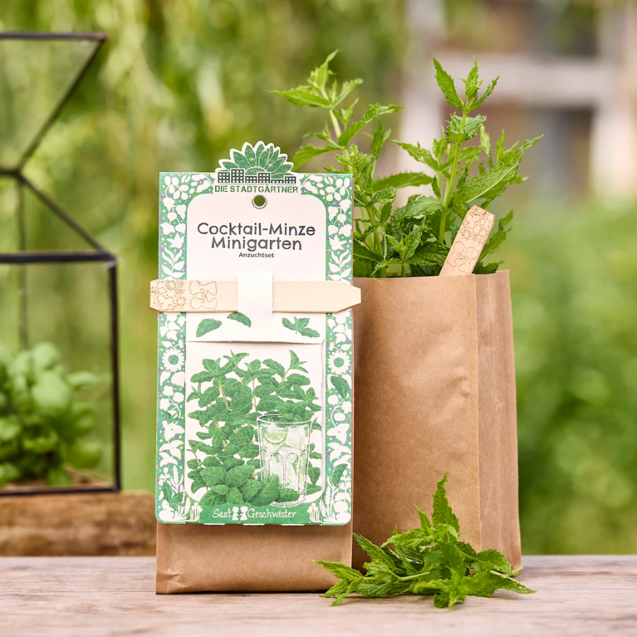 Minigarten – Cocktail Minze von Die Stadtgärtner – Verpackung von vorne mit Minze