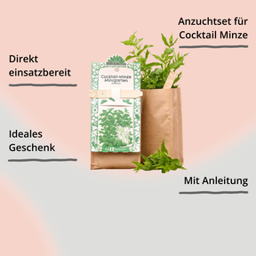Minigarten – Cocktail Minze von Die Stadtgärtner – Verpackung von vorne mit Impact