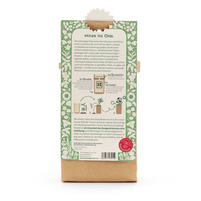 Minigarten – Cocktail Minze von Die Stadtgärtner – Verpackung von hinten