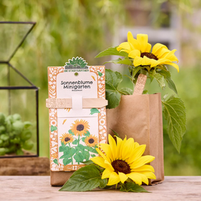 Minigarten – Sonnenblume von Die Stadtgärtner – Verpackung mit Sonnenblumen