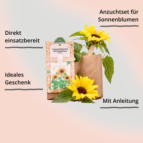 Minigarten – Sonnenblume von Die Stadtgärtner – Verpackung von vorne mit Impact