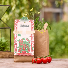 Minigarten – Wildtomaten von Die Stadtgärtner – Verpackung mit Tomaten