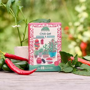 Saatgut-Set Chili von Die Stadtgärtner – Verpackung mit Chilis im Hintergrund