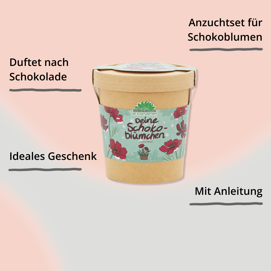 Schokoblumen im Becher von Die Stadtgärtner mit Impact