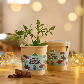 Zwei Schokoblumen im Becher von Die Stadtgärtner stehen auf einem Tisch mit weihnachtlicher Deko