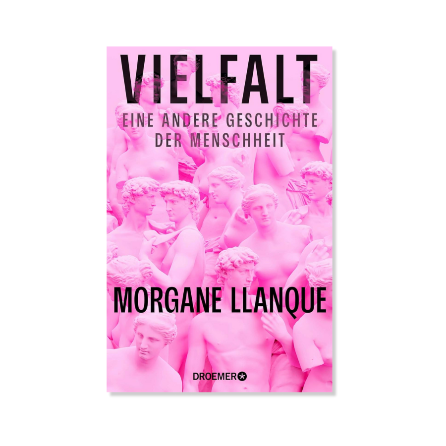 Vielfalt - Eine andere Geschichte der Menschheit von Morgane Llanque – Buchcover von vorne
