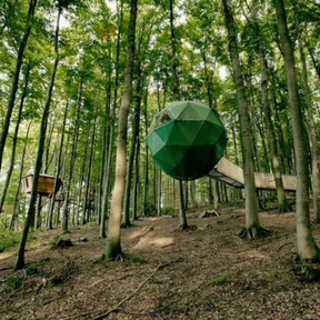 Good Places for Good People – Deutschland – Wald mit Objekten