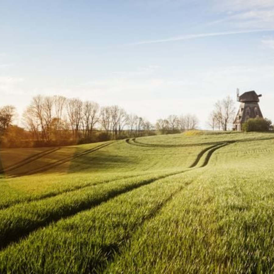 Good Places for Good People – Deutschland – Windmühle auf einer Wiese