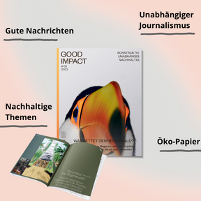 #3 – Was rettet den Regenwald?
