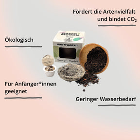 Pflanz-Kit Flieder von Green Mundo – Verpackung und Inhalt mit Impact