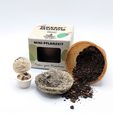 Pflanz-Kit Flieder von Green Mundo – Verpackung und Inhalt
