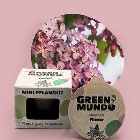 Pflanz-Kit Flieder von Green Mundo – Verpackung, im Hintergrund Flieder