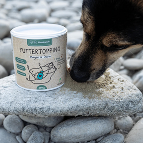 Futtertopping – Magen & Darm von Hunderunde. Dose steht auf einem Stein und ein Hund leckt das Pulver vom Stein