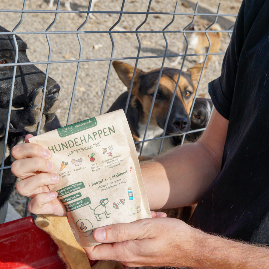 Verpackung Sportskanone wird Hunden hinter einem Zaun vorgehalten