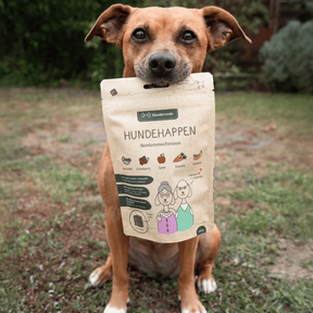 Ein Hund hat den Hundehappen – Seniorenschmaus im Maul