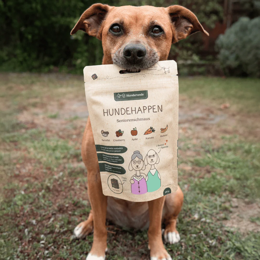 Ein Hund hat den Hundehappen – Seniorenschmaus im Maul
