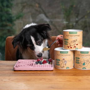 Ein Hund schleckt von der Schleckmatte von Hunderunde Obst und Leckerlis – daneben stehen die Futtertoppings von Hunderunde