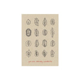 Postkarte Matabooks – cliterally wonderful