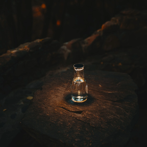 Sonnenglas Lichtkaraffe mit Solarmodul steht auf einem Baumstamm