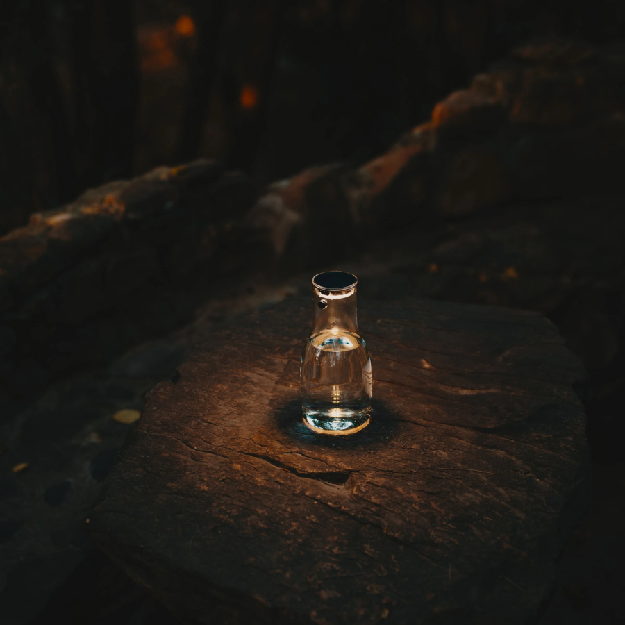 Sonnenglas Lichtkaraffe mit Solarmodul steht auf einem Baumstamm