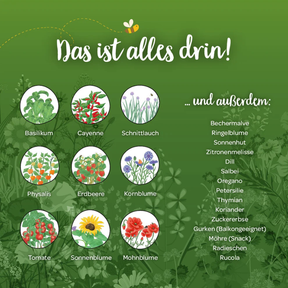 Saatgut-Adventskalender von Die Stadtgärtner – Inhalt