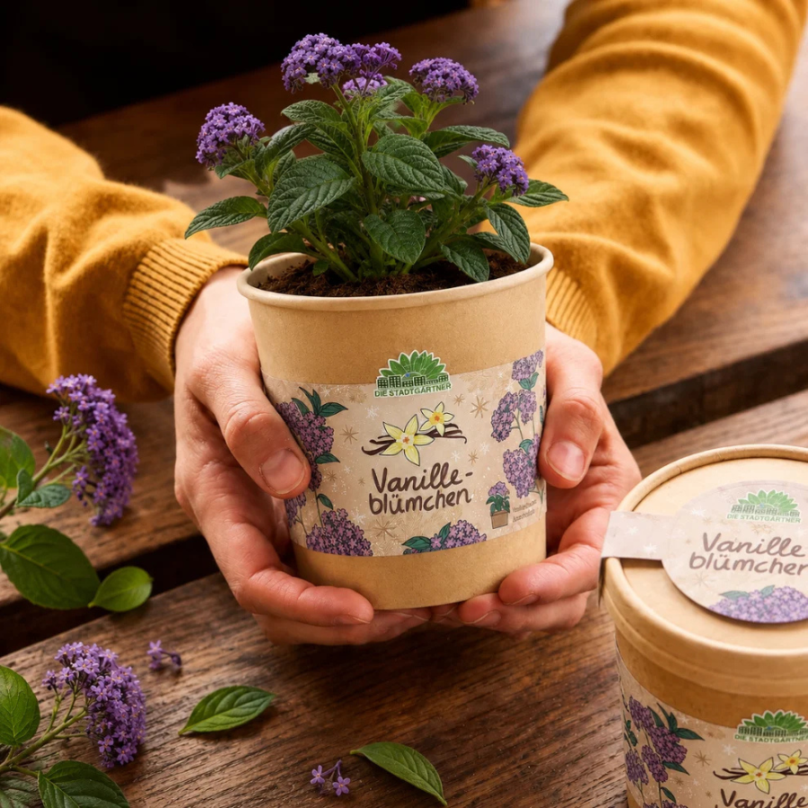 Person hält Vanilleblume im Becher von Die Stadtgärtner in den Händen