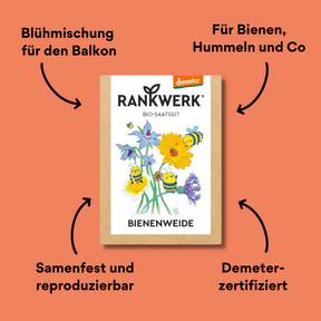 Rankwerk Saatgut Bienenweide mit Impact