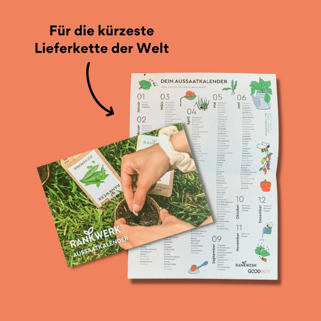 Aussaatkalender (gratis)