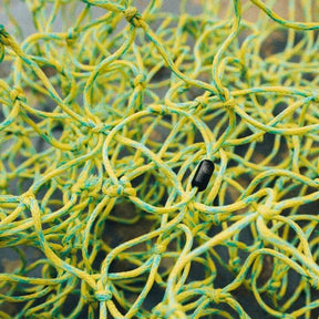 Armband Mediterranean Sea II