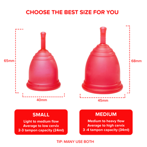 Ruby Cup Rot in Small und Medium im Vergleich
