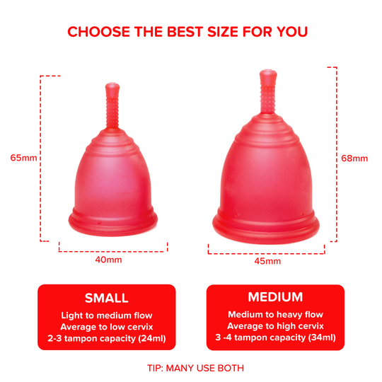 Ruby Cup Rot in Small und Medium im Vergleich
