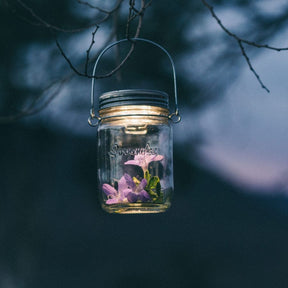 Sonnenglas, das den Blumen im Inneren Licht spendet.